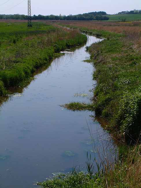 image/skenkelsoe_omraadet-001.jpg