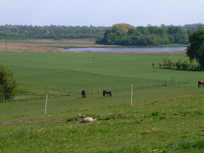 image/skenkelsoe_omraadet-002.jpg