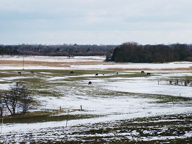 image/skenkelsoe_omraadet-003.jpg