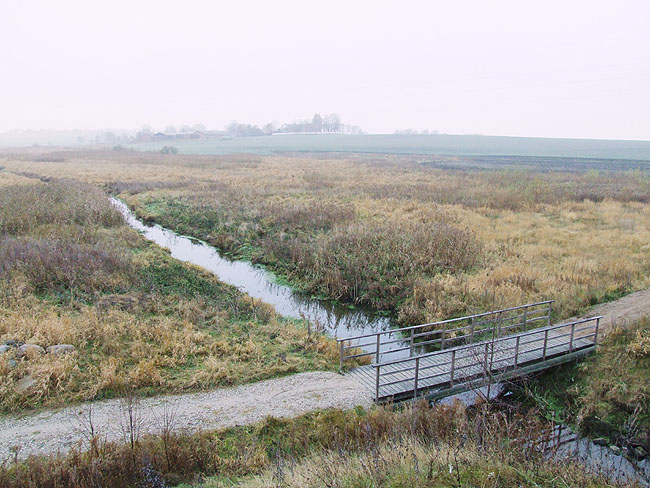 image/skenkelsoe_omraadet-009.jpg