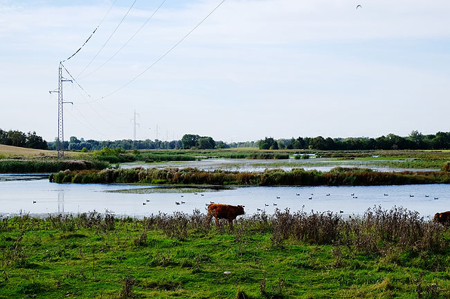 image/skenkelsoe_omraadet-595.jpg
