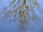 image/_vandspejling-39.jpg