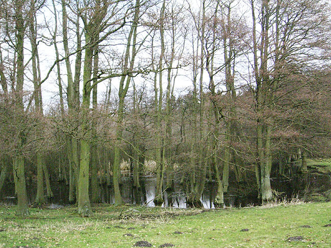 image/sump_m._roedel-21.jpg