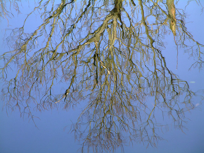 image/vandspejling-39.jpg