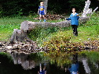 image/_vestrehus_naturskole-391.jpg