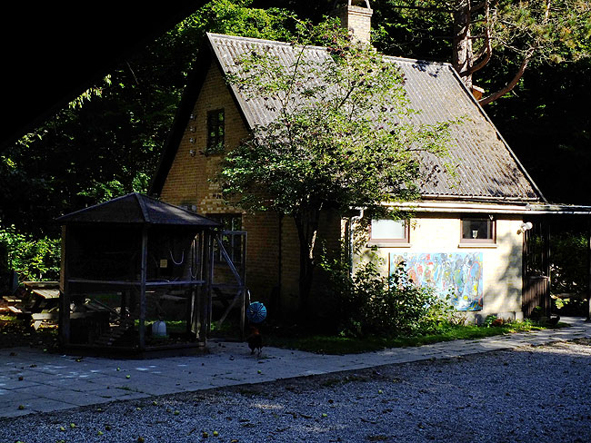 image/vestrehus_naturskole-274.jpg