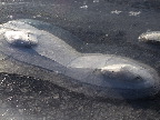 image/_is_paa_fjorden-439.jpg