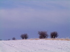 image/_landskab_vinter-01.jpg