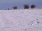 image/_landskab_vinter-02.jpg