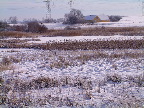 image/_landskab_vinter-04.jpg