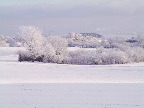 image/_landskab_vinter-56.jpg