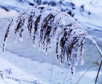 image/_rimfrost-25.jpg