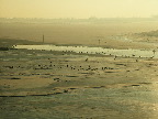image/_roskilde_fjord-vinter-32.jpg