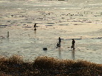 image/_roskilde_fjord-vinter-34.jpg