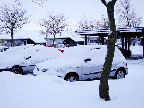 image/_vinter-029.jpg