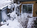 image/_vinter_og_sne-05.jpg