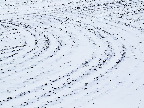 image/_vinter_og_sne-10.jpg
