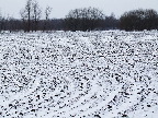 image/_vinter_og_sne-11.jpg