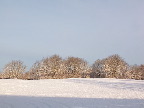 image/_vinter_og_sne-867.jpg