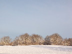 image/_vinter_og_sne-868.jpg