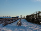 image/_vinter_paa_landet-05.jpg