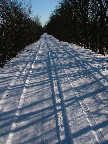image/_vinter_paa_landet-55.jpg