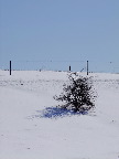 image/_vinter_sne-834.jpg