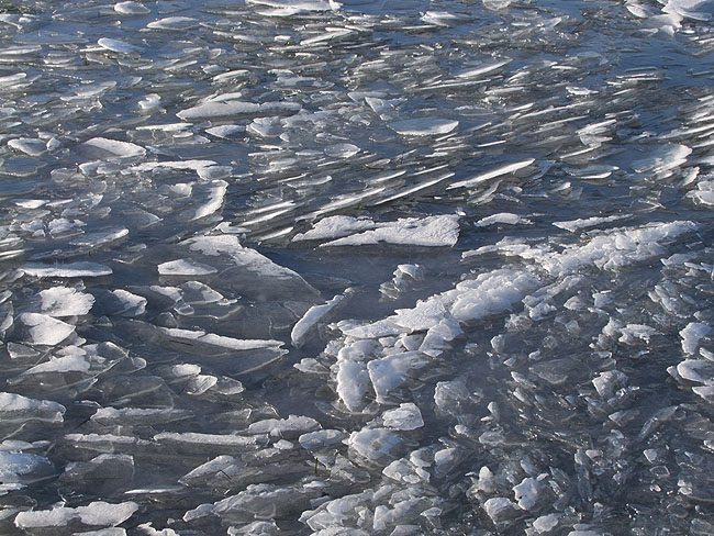 image/is_paa_fjorden-433.jpg