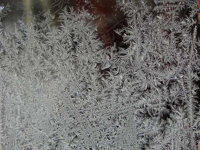 image/isblomster-175.jpg