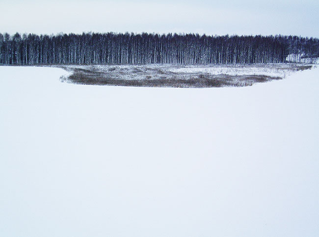 image/landskab_sne-57.jpg