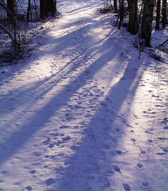 image/vinter_&_sne-10.jpg