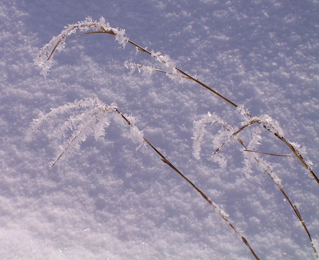 image/vinter_og_sne-29.jpg