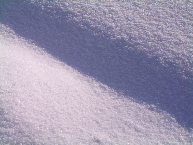 image/vinter_og_sne-30.jpg