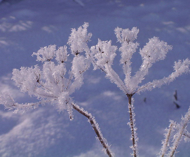 image/vinter_og_sne-45.jpg