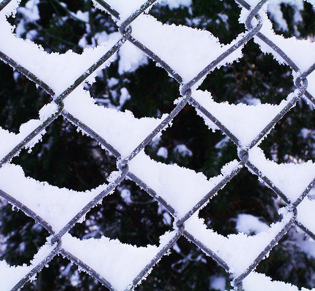 image/vinter_og_sne-51.jpg