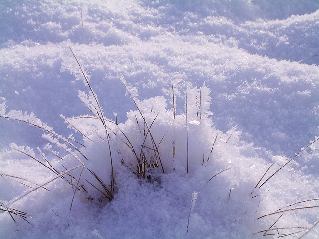 image/vinter_og_sne-54.jpg
