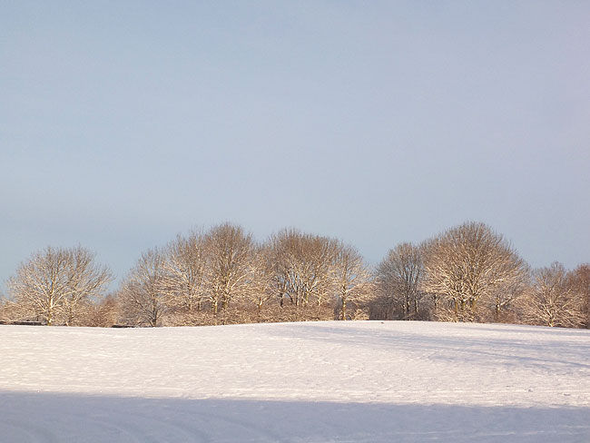 image/vinter_og_sne-867.jpg