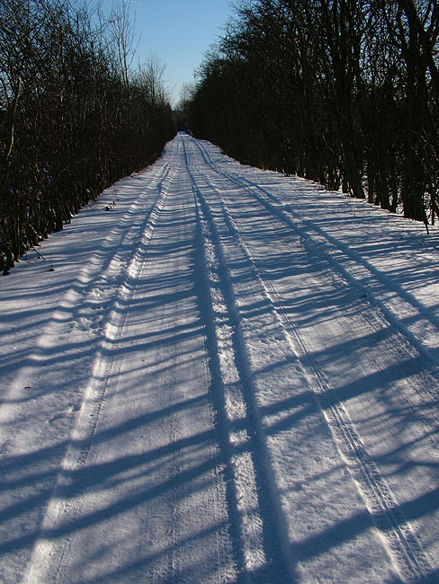 image/vinter_paa_landet-55.jpg