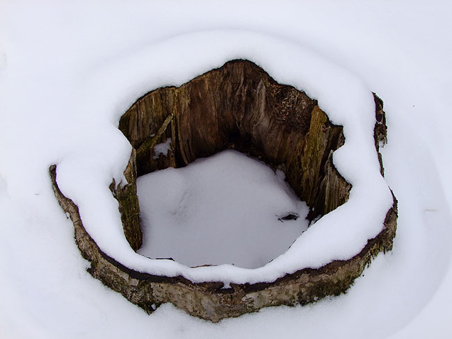 image/vinter_sne-814.jpg