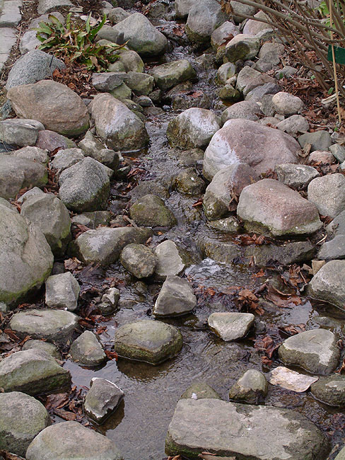 image/botanisk_have-082.jpg