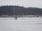 image/_joller_paa_fjorden-7258.jpg