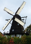 image/_skenkelsoe_moelle-068.jpg